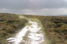 A Black Mountain path
